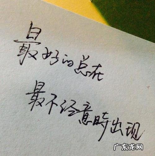 有关爱情的经典语句 【抖音文案】关于爱情的句子