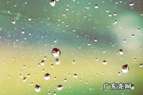 亲情的句子经典语句 【抖音文案】关于亲情的经典句子