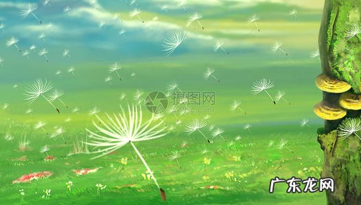 描写蒲公英的优美句子 【抖音文案】蒲公英飞舞的句子