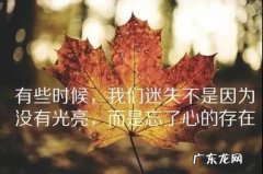 心情语录短句,看了让人想流泪 【抖音文案】适合自己的心情语录短句