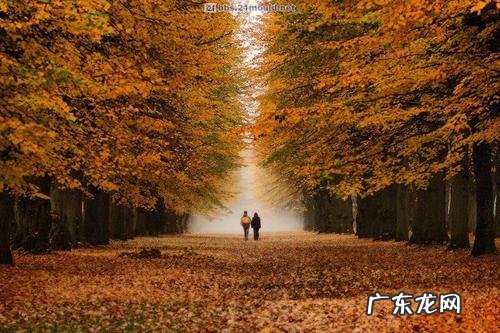 怎样写秋天的景色 【抖音文案】描写秋天的景色的句子