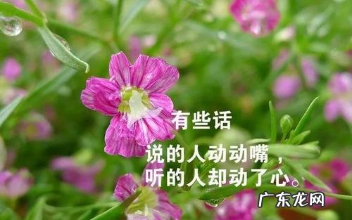 表达今天心情好的搞笑句子 【抖音文案】一句话表达心情好的句子