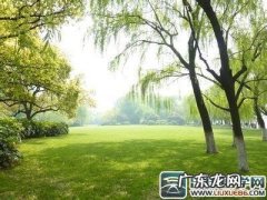 【抖音文案】关于刮风的句子和段落