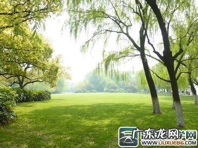 【抖音文案】关于刮风的句子和段落