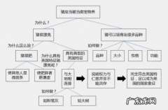 演讲的三种常用结构 演讲的技巧和要领有哪些