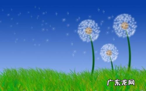 蒲公英的诗句 【抖音文案】描写蒲公英诗句