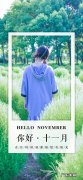 关于十一月的唯美句子 【抖音文案】有关十一月的唯美句子