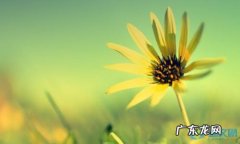 夏天我喜欢什么写句子 【抖音文案】写关于夏天的句子