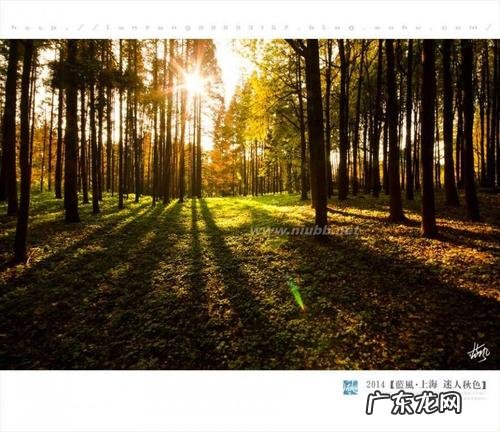 赞美深秋的美景的词句 【抖音文案】描写深秋初冬美景的词句