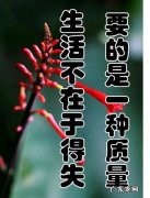 珍惜身边的朋友经典语句 【抖音文案】珍惜身边亲人经典语句