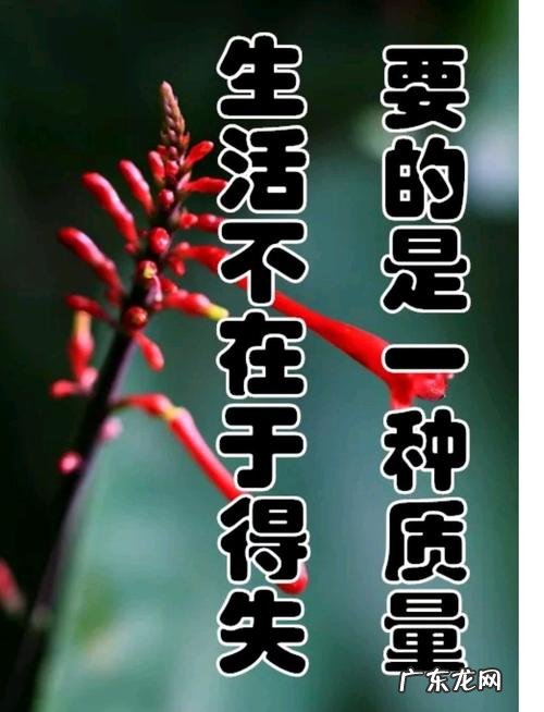 珍惜身边的朋友经典语句 【抖音文案】珍惜身边亲人经典语句