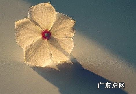 【抖音文案】鼓励人的优美富有诗意语句