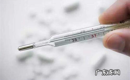 法斗发烧感冒临床症状,法斗发烧感冒早期吃什么快好