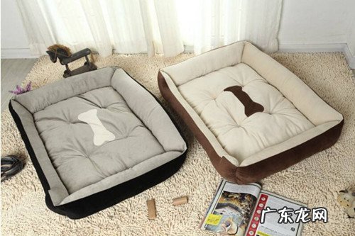 【小宠物的维护保养小技巧】小狗禁吃禁饮了四天饲养后拉肚子应该怎么办