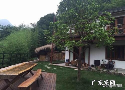 适合在农村做的25个项目 农村生意好项目有哪些