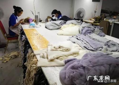 适合在农村做的25个项目 农村生意好项目有哪些