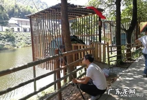 适合在农村做的25个项目 农村生意好项目有哪些