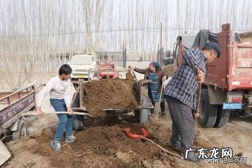 适合在农村做的25个项目 农村生意好项目有哪些