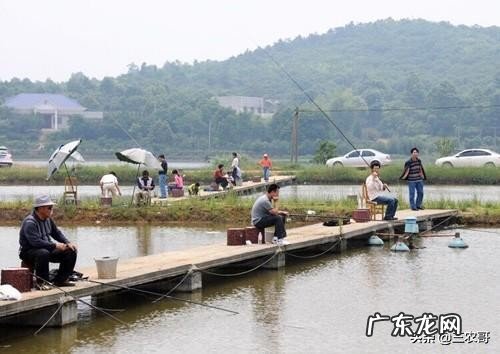 适合在农村做的25个项目 农村生意好项目有哪些