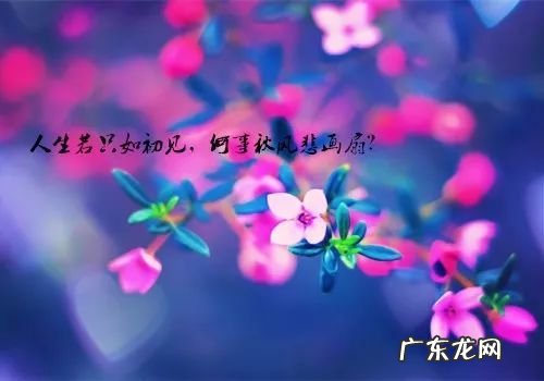 伤感句子表达心情失落 【抖音文案】一句能表达心情的句子