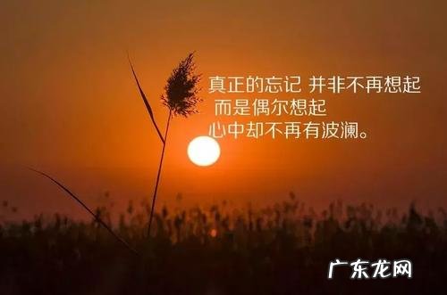 伤感句子表达心情失落 【抖音文案】一句能表达心情的句子