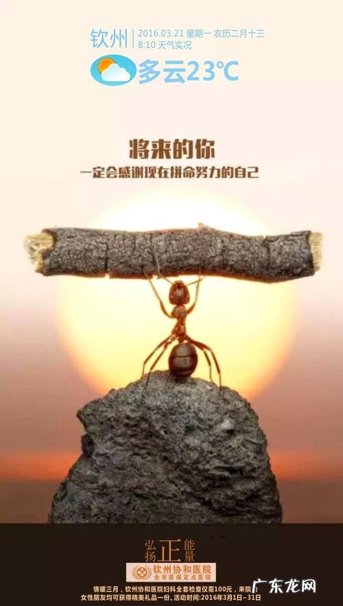 拼搏努力奋斗的句子 【抖音文案】奋斗拼搏努力的一段话