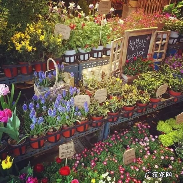小白开花店必备攻略 如何开好花店