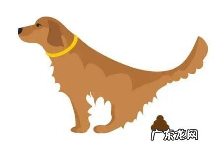 怎么知道小狗人体是不是身心健康