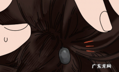 遛猫遛狗狗警醒蜱虫扎入小狗肌肤，碰到蜱虫该怎么处理呢？