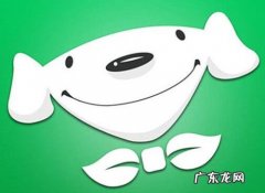 京东店铺单品运营分析 京东店铺怎么运营