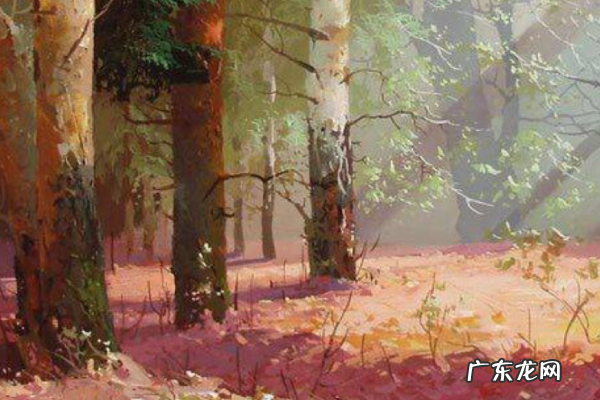 淘宝开店商品怎么上架?需要注意什么?