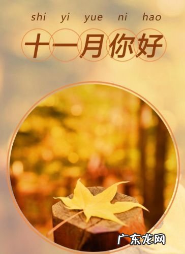描写十一月的优美句子怎么写 【抖音文案】十一月的描述优美句子