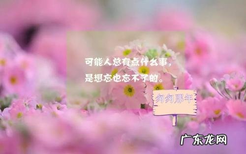 女人唯美的句子说说心情 【抖音文案】唯美的句子说说心情