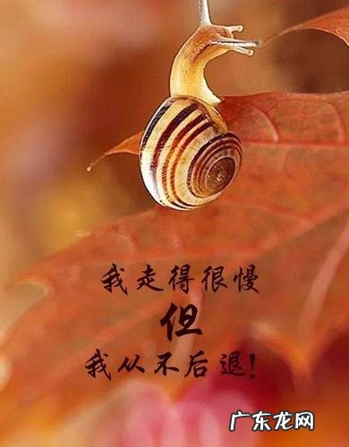 最精辟人生短句 【抖音文案】开心的精辟短句