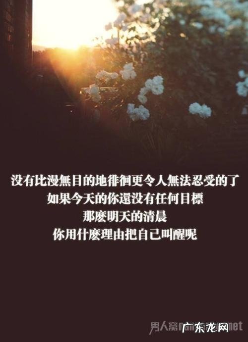 网络伤感名句经典语录 【抖音文案】情感网络名句经典语录