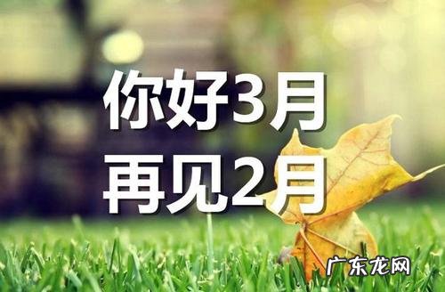 朋友圈清晨唯美句子大全 【抖音文案】开心朋友圈的句子大全唯美