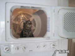 瘦身产品文案z怎么写:女人减肥蜕变重生的句子？