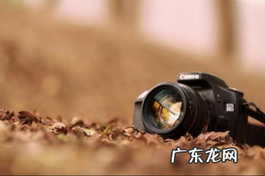 抖音运费模板是什么?怎么计算运费?