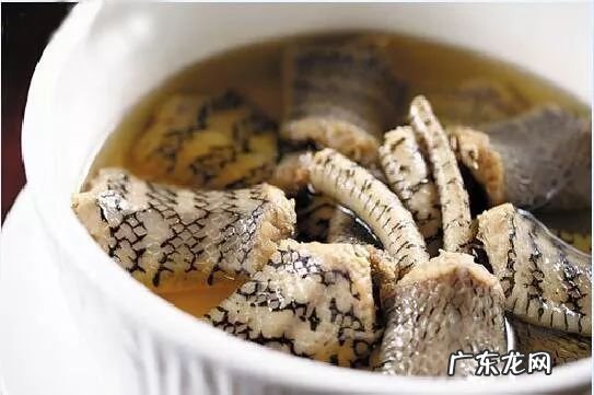 2021年赚钱的50种养殖品种 现在搞养殖业养什么比较好