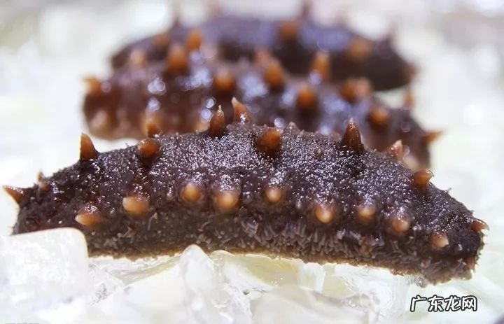 2021年赚钱的50种养殖品种 现在搞养殖业养什么比较好