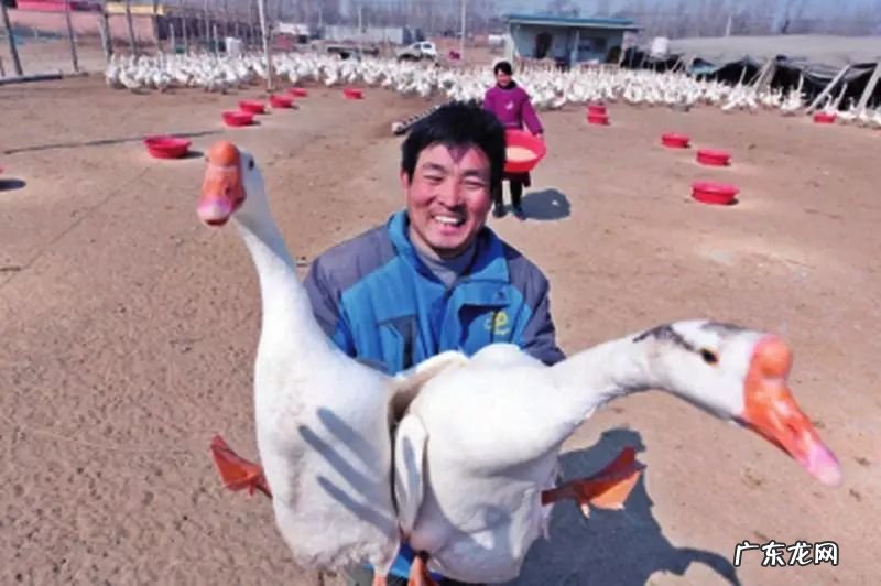 2021年赚钱的50种养殖品种 现在搞养殖业养什么比较好