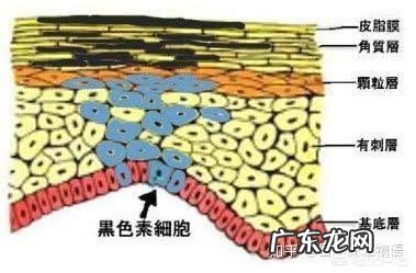 你认为护肤品可以祛斑祛痘使人变漂亮吗