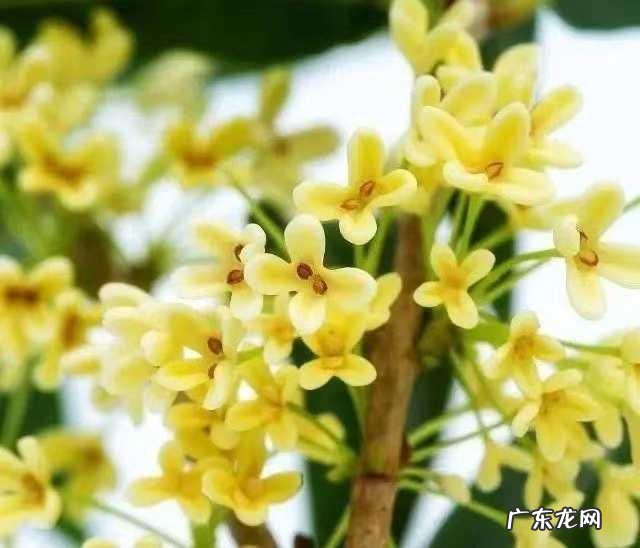 你认为护肤品可以祛斑祛痘使人变漂亮吗