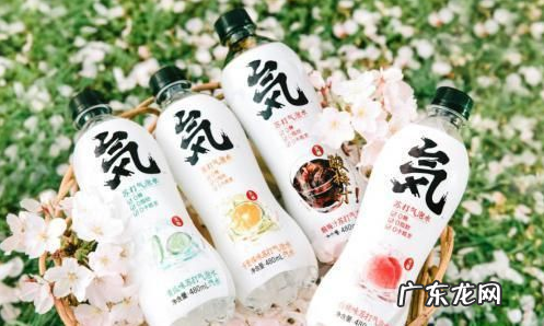 元气森林申请冻结山寨商300万财产！套牌产品将受更严厉打击