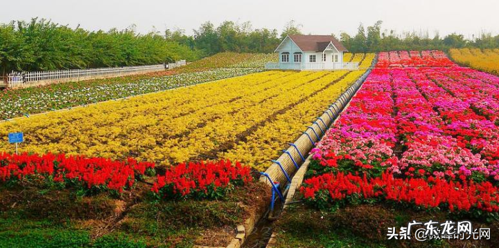 高利润的4个创业项目 目前开什么公司前景好