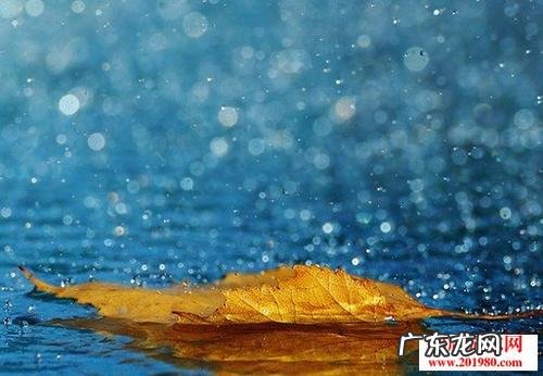 抒情语录经典短句 【抖音文案】经典抒情短句