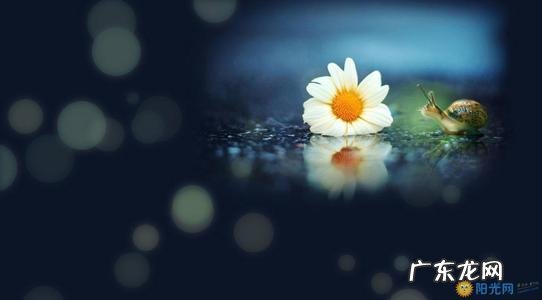 感悟人生的句子 励志 简短 【抖音文案】感悟人生励志唯美句子