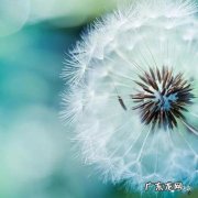 无法沟通的经典句子 【抖音文案】11月的经典句子