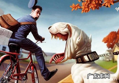 小狗领地意识过强并不是好事儿