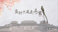 人生若只如初见,当时只道是寻常 只道是寻常